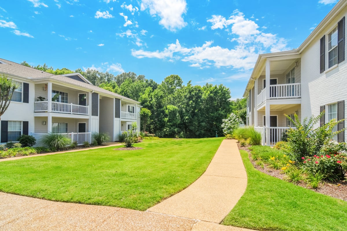 Apartments for Rent in Olive Branch, MS | The Vineyard